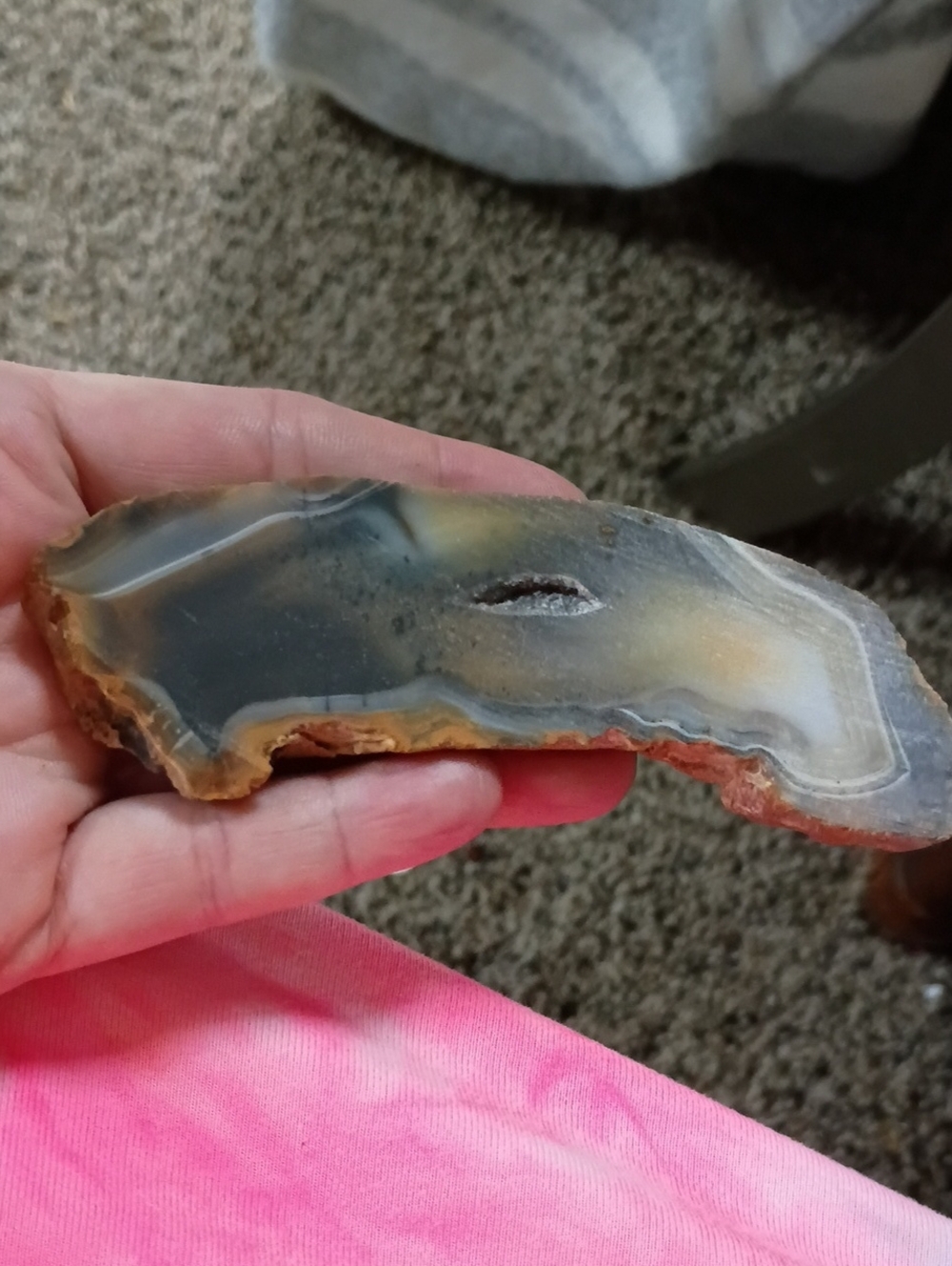 Bumblebee Jasper Slice